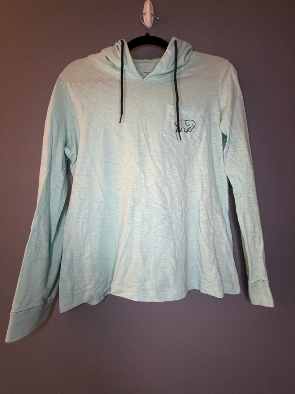 ivory ella Light Mint Green Long Sleeve Hooded Tee